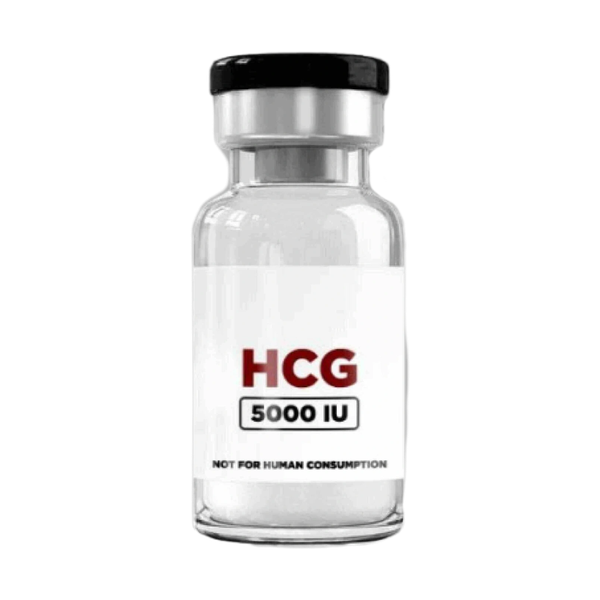 Vial HCG, hormoon voor vruchtbaarheidsbehandeling en hormoonregulatie